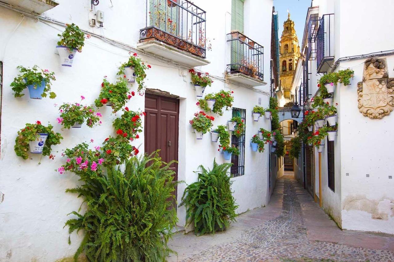 Апартаменты Tandem Torre De La Calahorra Кордова Экстерьер фото